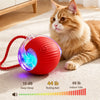 Automatic Cat Toy Ball with Teaser String, 3 Play Modes