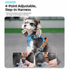 Dog Vest Harness and Leash