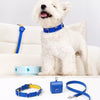 Faux Leather Collar with Gemstone-Inspired Detail for Dogs and Cats