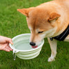 Collapsible Travel Bowl for Dogs and Cats