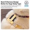 H-Style Vest Harness with Leash for Dogs 3¨C50 lb
