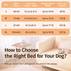 Elevated Mesh Pet Cot for Dogs ¨C Iron Frame, All-Season Design