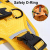 Vest-Style Dog Harness with Round Leash