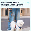 Adjustable Polyester Dog Harness for Everyday Walks | Moggold