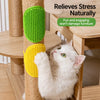 Silicone Pet Grooming Brush for Bathing and Loose Fur