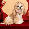 Chinese New Year Pet Collar with Decorative Charm