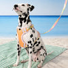 H-Style Polyester Dog Harness