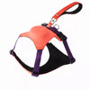 Nylon Dog Harness and Leash Set