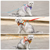 Adjustable Vest-Style Cat Harness with Flat Leash
