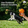 Interactive Treat-Dispensing Dog Toy