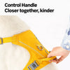 Lightweight Nylon Dog Harness and Leash Set