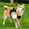 Collapsible Travel Bowl for Dogs and Cats