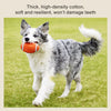 Latex Sports Ball Squeaky Dog Toy