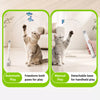 Electric Cat Teaser Toy