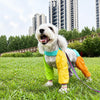 Nylon Four-Leg Dog Suit for Outdoor Walks and Outings