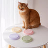 Collapsible Travel Pet Bowl