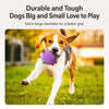 Squeaky Plush Ball Dog Toy