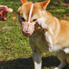 Soft Plastic Dog Muzzle with Breathable Mesh
