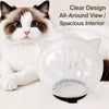 Clear Plastic Cat Cone for Grooming and Care