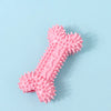 Dog Chew Toys in Bone, Ball & Rope Designs
