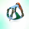 Adjustable Dog Harness for Everyday Walks