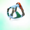 Adjustable Dog Harness for Everyday Walks