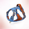 Adjustable Dog Harness for Everyday Walks