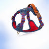 Adjustable Dog Harness for Everyday Walks