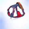 Adjustable Dog Harness for Everyday Walks