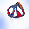 Adjustable Dog Harness for Everyday Walks