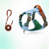 Adjustable Dog Harness for Everyday Walks