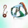 Adjustable Dog Harness for Everyday Walks