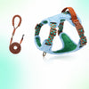 Adjustable Dog Harness for Everyday Walks