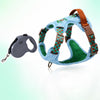 Adjustable Dog Harness for Everyday Walks