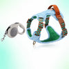 Adjustable Dog Harness for Everyday Walks