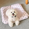 Waterproof Pet Mat