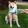 Portable Foldable Dog Water Bottle & Travel Cup