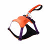 Integrated Nylon Dog Harness and Leash