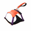 Integrated Nylon Dog Harness and Leash
