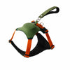 Integrated Nylon Dog Harness and Leash