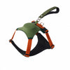 Integrated Nylon Dog Harness and Leash