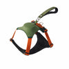 Integrated Nylon Dog Harness and Leash