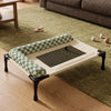 Elevated Cat & Dog Cot with Mesh Surface and Detachable Cushion