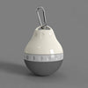 Portable Pet Water Bottle for Dogs and Cats