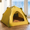 Removable Tent Pet Bed and Mat for Cats and Small Dogs