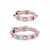 Faux Leather Collar and Leash for Small Dogs and Cats