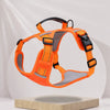 Vest-Style Dog Harness with Optional Round Leash
