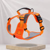 Vest-Style Dog Harness with Optional Round Leash