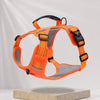 Vest-Style Dog Harness with Optional Round Leash