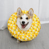 Soft Waterproof Dog Recovery Collar